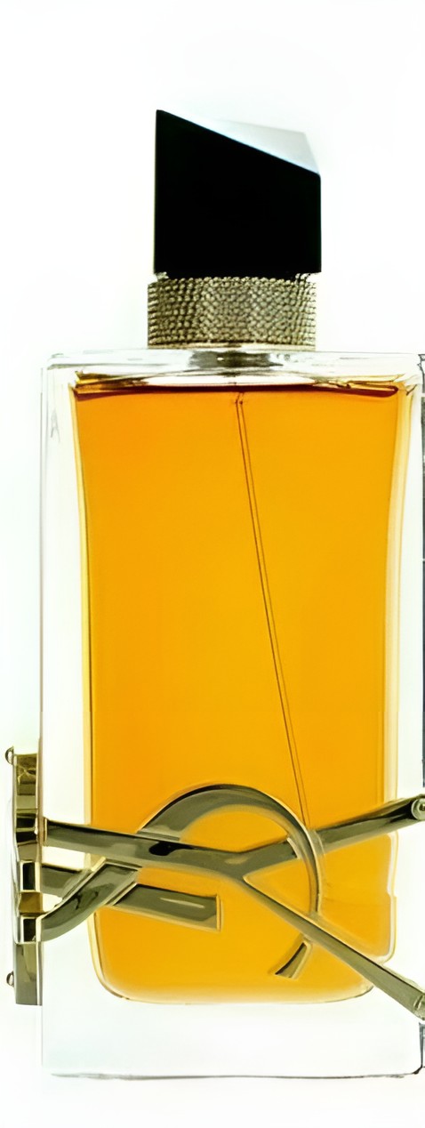Yves Saint Laurent YSL Libre Intense Eau de Parfum 1.6 oz / 50ml Women's Fragrance